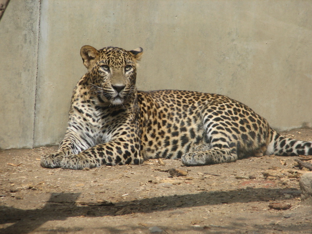 National Zoo