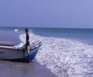 Arugam Beach