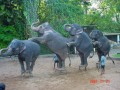 National Parks and Zoo