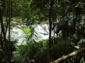 Kithulgala  Rainforest Reserve