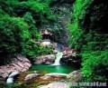 Peak Wilderness Nature Reserve