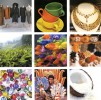 Exports